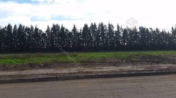 Terreno industria Molesta Los Libertadores, Colina