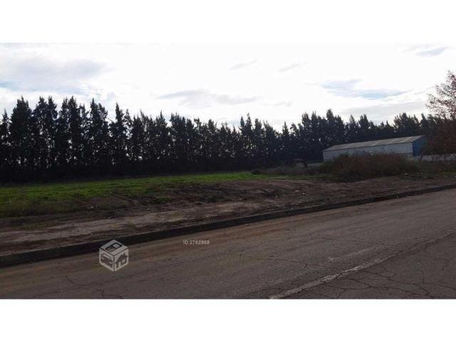 Terreno industria Molesta Los Libertadores, Colina