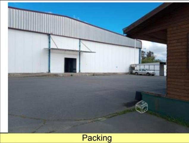 Galpón Industrial Los Ángeles 19.100 m2