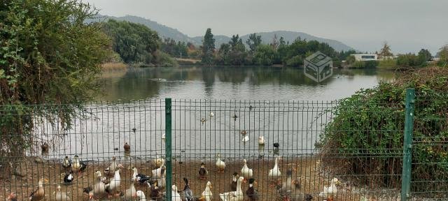 Casa frente a laguna de Lo Barnechea