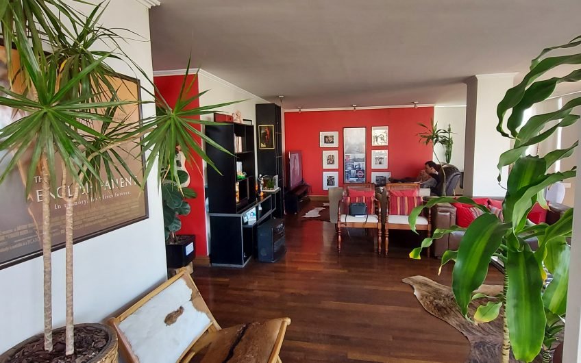 Luminoso  Penthouse, vista Panorámica