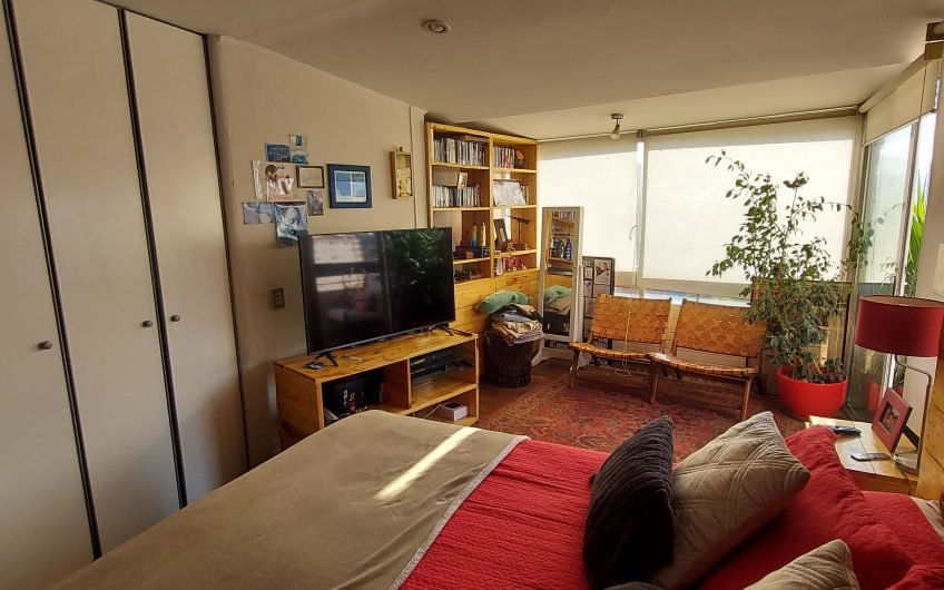 Luminoso  Penthouse, vista Panorámica