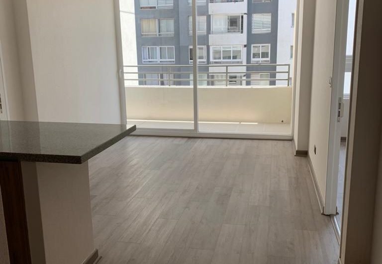 Departamento Los Clarines/Macul