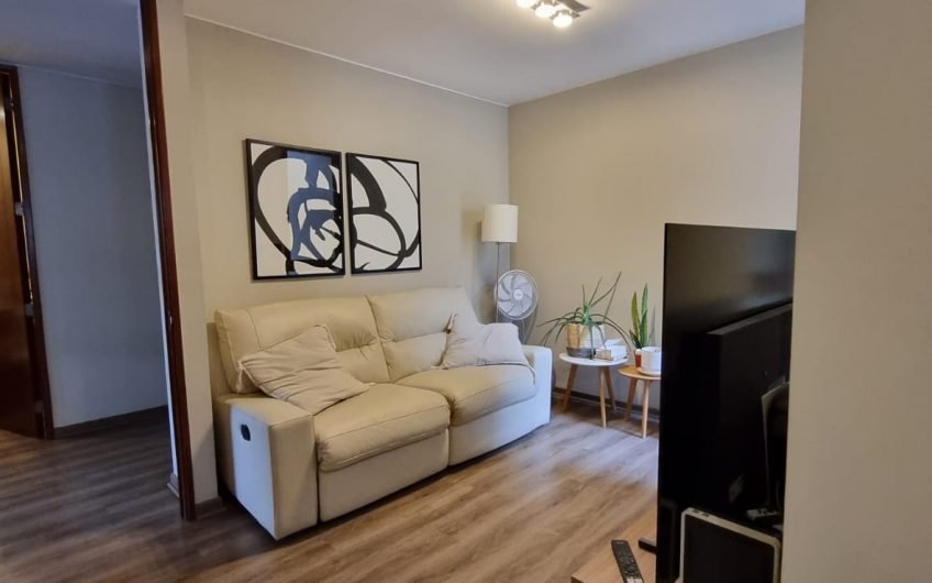 Lindo Departamento Plaza Las Lilas Providencia
