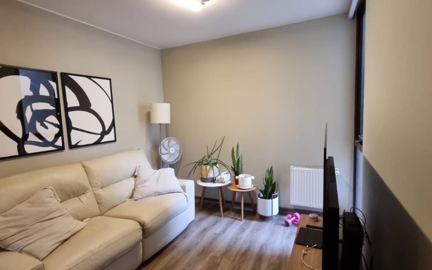 Lindo Departamento Plaza Las Lilas Providencia