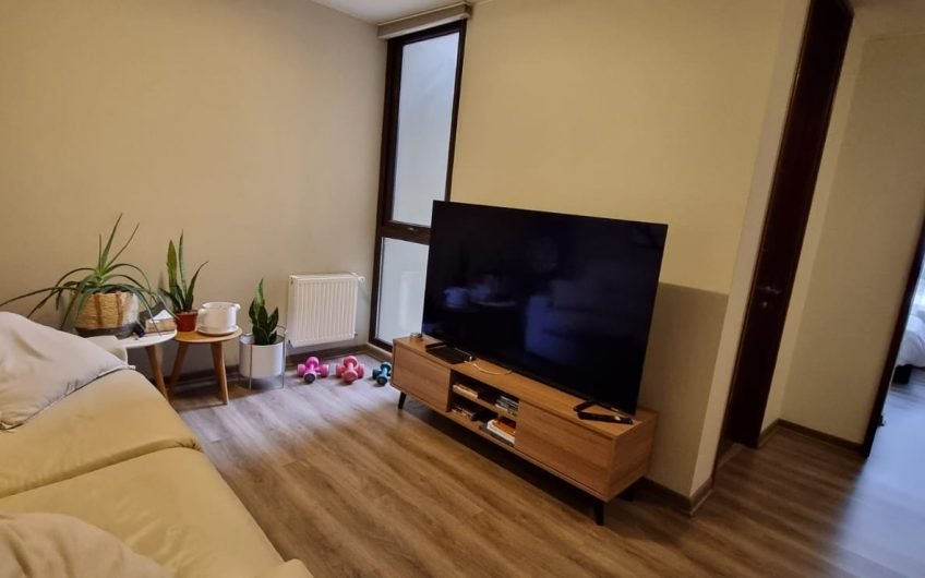 Lindo Departamento Plaza Las Lilas Providencia