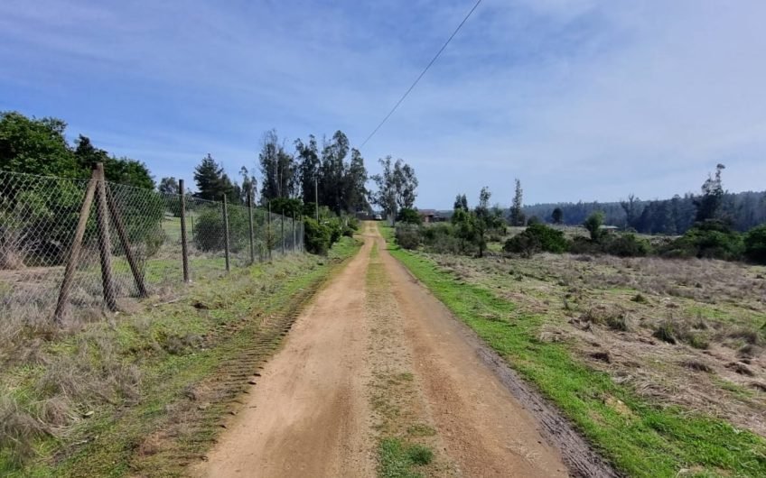 Parcela camino a Leyda / Santo Domingo